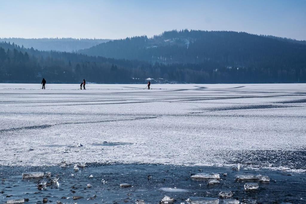 Private Cozy And Quiet Apartment Lipno nad Vltavou Luaran gambar